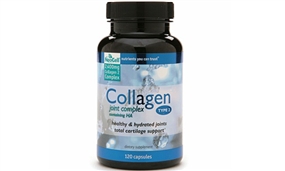 Collagen tuyp 2 không biến tính của Mỹ - Collagen type 2 Neocell USA