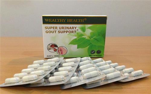Thực phẩm chức năng hỗ trợ điều trị bệnh Gút ( Gout ) của Úc - Gout Support WEALTHY HEALTH