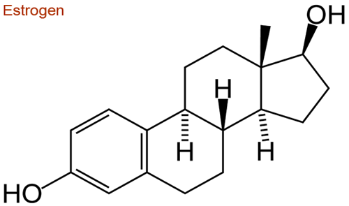 estrogen-hornone-sinh-duc-nu