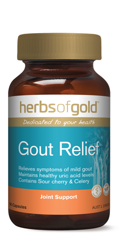 Viên uống Gout herbsofgold Gout Relief hộp 60 viên của Úc